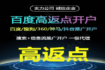 百度竞价公司案例分析：优化策略全解析